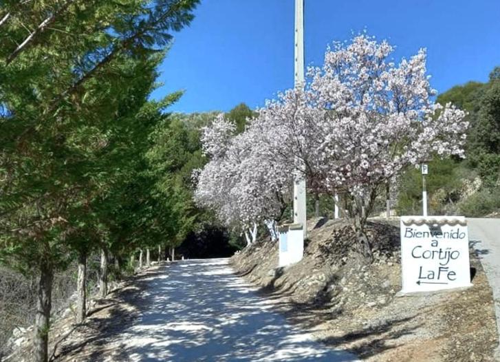 蒙特弗里奥 Cortijo La Fe旅馆 外观 照片