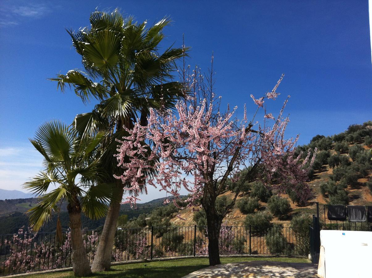 蒙特弗里奥 Cortijo La Fe旅馆 外观 照片