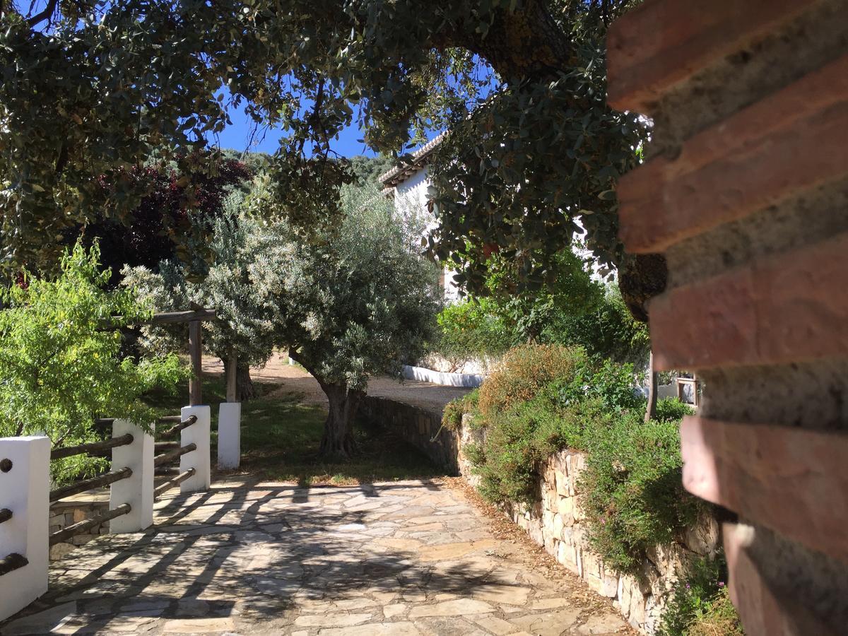 蒙特弗里奥 Cortijo La Fe旅馆 外观 照片