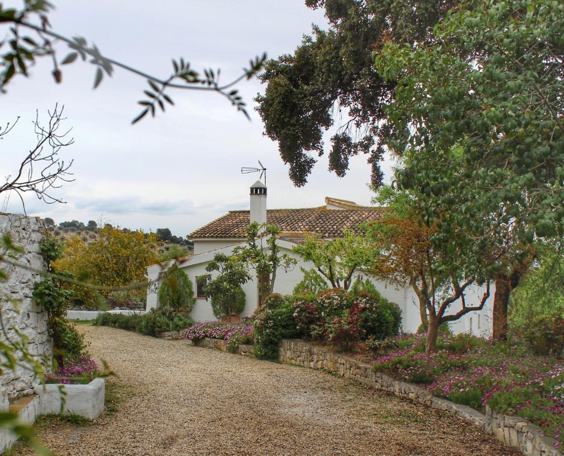 蒙特弗里奥 Cortijo La Fe旅馆 外观 照片