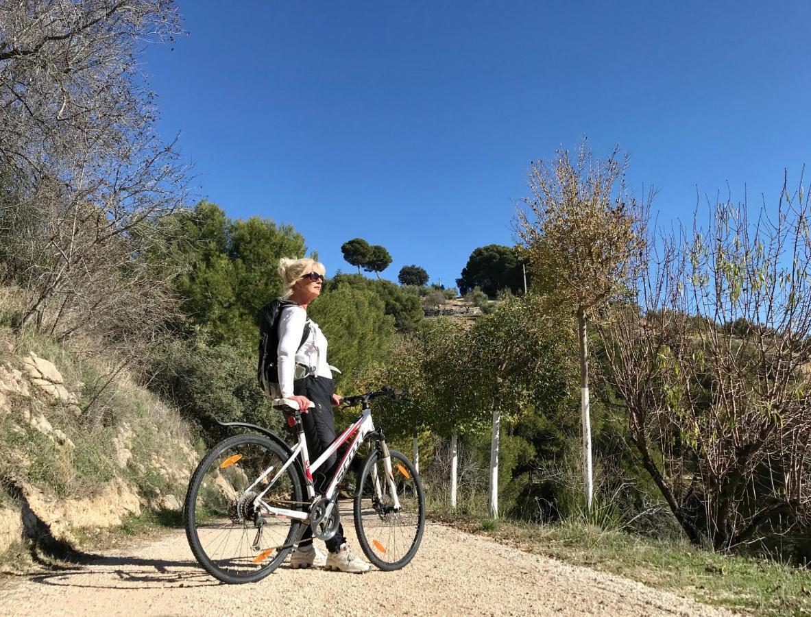 蒙特弗里奥 Cortijo La Fe旅馆 外观 照片