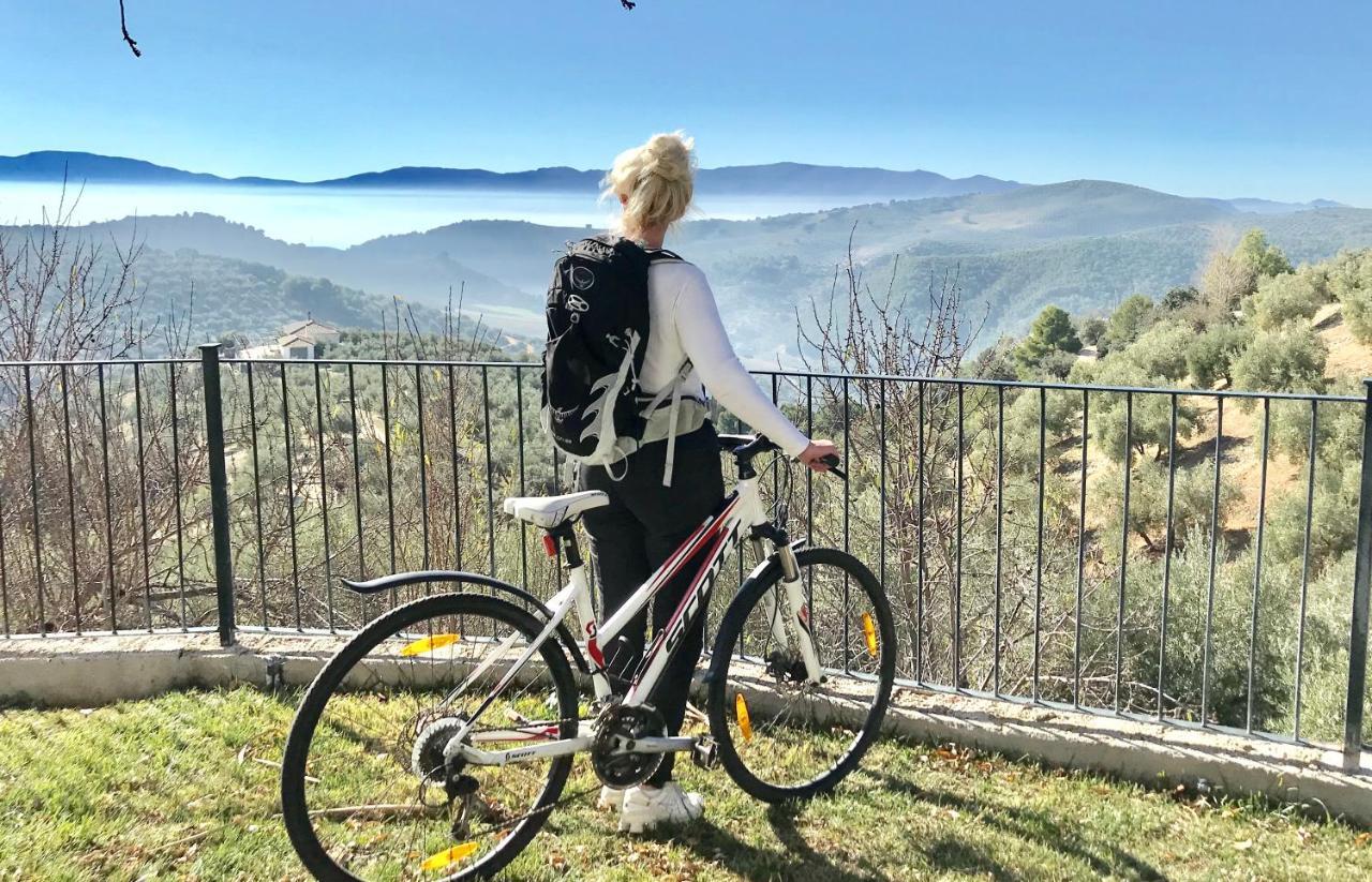 蒙特弗里奥 Cortijo La Fe旅馆 外观 照片