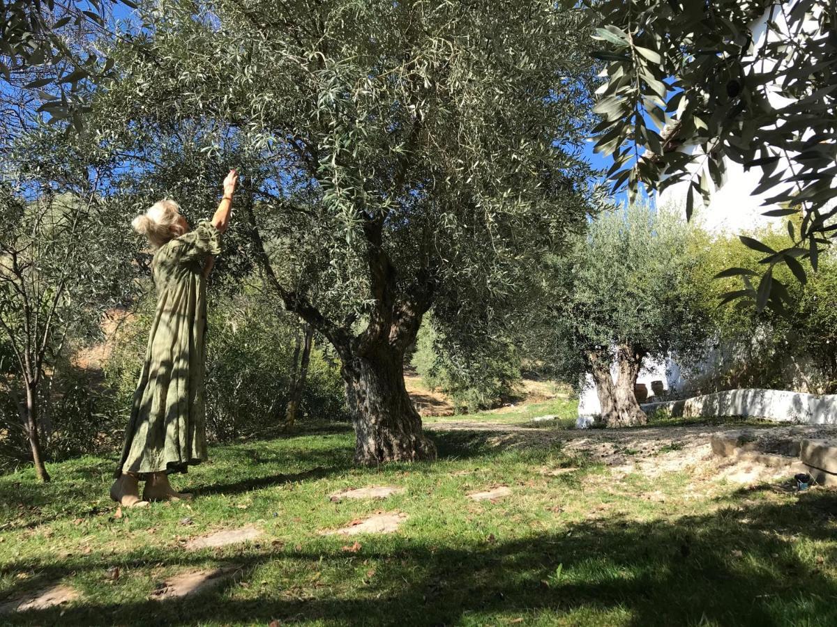 蒙特弗里奥 Cortijo La Fe旅馆 外观 照片